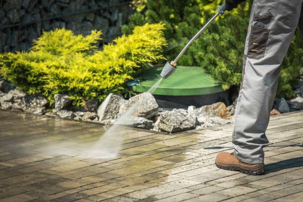 Best Winterizing Services  in Mauriceville, TX