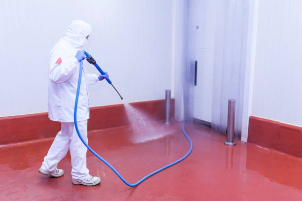Best Patio and Deck Pressure Washing  in Mauriceville, TX