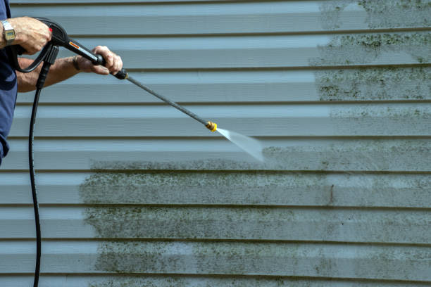 Best Building Exterior Washing  in Mauriceville, TX